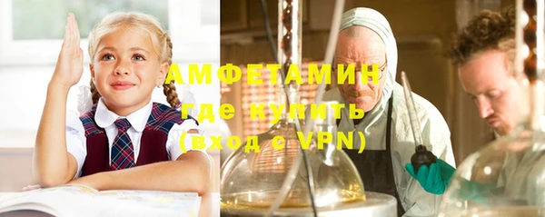 амф Богданович