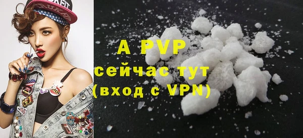 амф Богданович