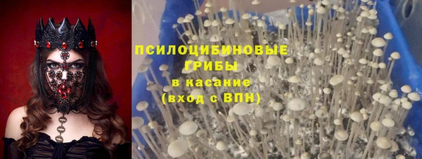 Альфа ПВП Богородицк