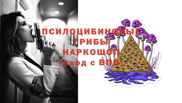 амф Богданович